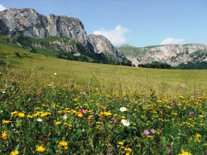 Armenien & Georgien: Wandern & Kultur