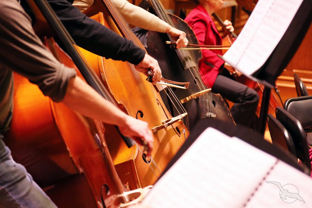 национальный барабан. фламенко испания гитарист. фламенко танец информация. сапфо лесбос. луи армстронг в живописи.