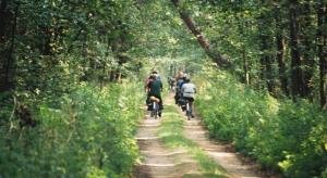 Familienfreundliche Tour - Polen und Weißrussland: Im Wald der Wisente - individuell Familienfreundliche Tour - Polen und Weißrussland: Im Wald der Wisente - individuell