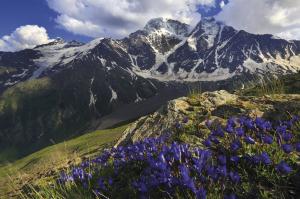 Große Kaukasus-Rundreise