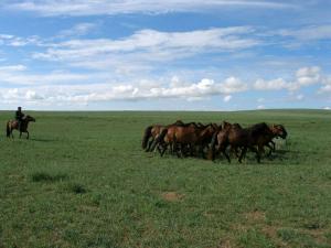 Mongolei - Durch weite Steppe und die Wüste Gobi