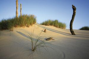 Radwandern an Polens Ostseeküste