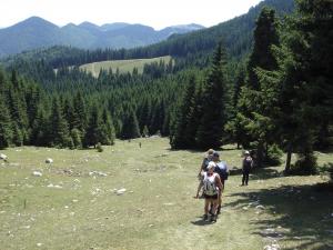 Rumänien aktiv: Wandern in den Karpaten