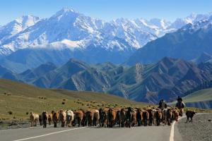 Tadschikistan - Kirgistan - Natur pur entlang des Pamir Highway mit Exkursion zum Zorkul-See Tadschikistan - Kirgistan - Natur pur entlang des Pamir Highway mit Exkursion zum Zorkul-See