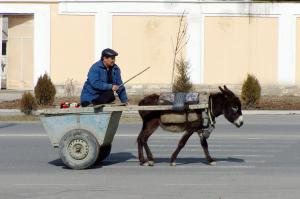 Usbekistan natürlich aktiv