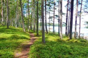 Wandern im Baltikum